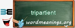 WordMeaning blackboard for tripartient